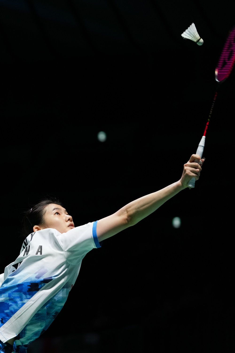 提供了宝贵 提供了宝贵